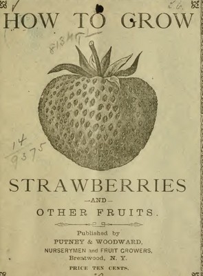 Product picture Growing strawberries and other fruits 